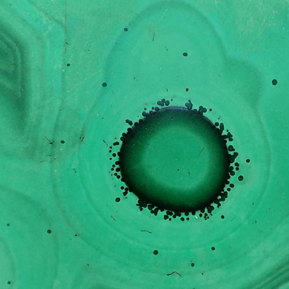 Immagine prodotto 5